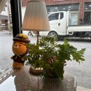 펫 마마의 집 이미지