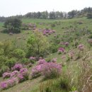 와동목장 이미지