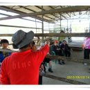 유일사슴목장 이미지