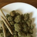 (주)다림바이오텍