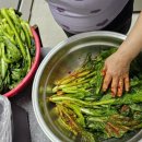 청학2동-20 이미지