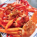 동탄 맛집 썬크랩 홍게 활어회 모두 무한리필