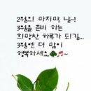 나를 위한 선물 Daum카페