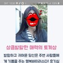 동물상테스트! 이미지