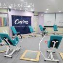 커브스작전클럽