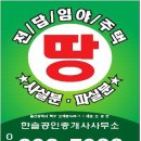 석읍리 이미지