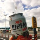 삼다투어 네이버블로그