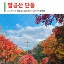 동산리농산물 | 대구 팔공산 단풍 지금 너무 예뻐요! 주말에 초절정일것 같아요 빨갛고 노랗고 엄청 찍었어요