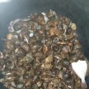 둘레길펜션 이미지