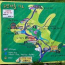 김해 수안마을 수국 정원축제 이미지
