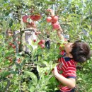 곡성-110 이미지