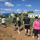 송탄중학교 이미지