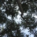 남해뜰펜션 이미지