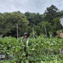 예전 Daum카페