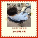 K9워킹독센터 | 고관절 인공관절 치환술 후 재활병원 한달 입원기