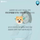 최동물병원 이미지