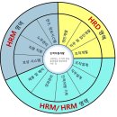 여기 HRD