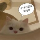 묵고가뒷고기 | 대구 봉덕동 뒷고기 맛집 [고기전술] 왜 사람이 많아? 한돈모둠세트 내돈내산 후기