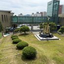 대동면사무소 이미지