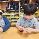 슬기들의 지피펠렛 화분 심기(허브)🌿 이미지