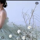 소3-26 | [W.5] 플라워 디렉팅 '소와연 Sowayeon' :26년 계약 후기 (내돈내산)-로망없다던 예신의 변심]