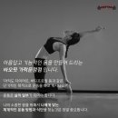 바오핏가락문정 이미지