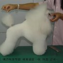 큐빅 이미지