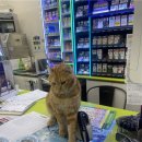 CU편의점관음점 이미지