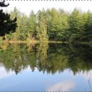 뽀빠이마취통증의학과의원 이미지