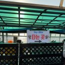 대천 가볼 만한 곳 레일바이크(스카이 바이크) 적극 추천 후기
