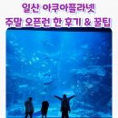 해진농장(2) | 일산 아쿠아플라넷 주말 오픈런 후기 1(할인 가격, 층별 소개, 닥터피쉬 체험)