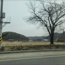 소풍한식뷔페 이미지