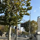 수국사 | [블챌] 수국사 템플스테이