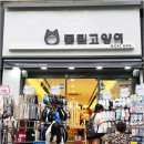못된고양이