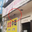 베스트덴트 이미지