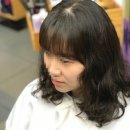 알지미용실 네이버블로그