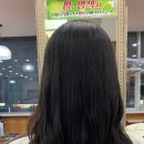 스칼렛미용실 - 군포시 번영로 333 | 스칼렛미용실