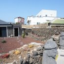 리벤시아 스테이 이미지