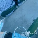 블럭고고 | 부산 사직구장 1루 내야 125블럭 8열 시야 후기