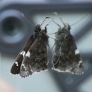 해든뮤지움 이미지