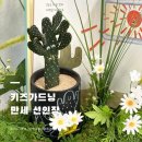 원예가드닝 | [키즈원예] 만세 선인장 가드닝, 용인 현암초병설유치원 플라워출강 후기, 식목일 그림책추천