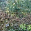 수두리경로당 이미지