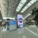 인천공항 제1여객터미널 3층 출국장서 연기발생···"50분 만에 차단" 이미지