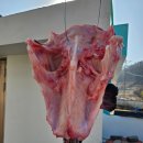 꽃차와 산야초 | 고모님과 보낸 1박2일