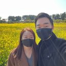 수망가라 이미지