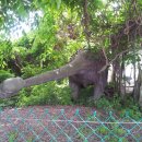 경산공룡박물관 이미지