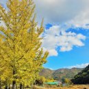 쌍이리귀바위 이미지