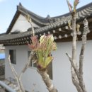 길목민박 이미지