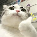 레스트앤드
