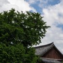 나주곰탕사매기 이미지